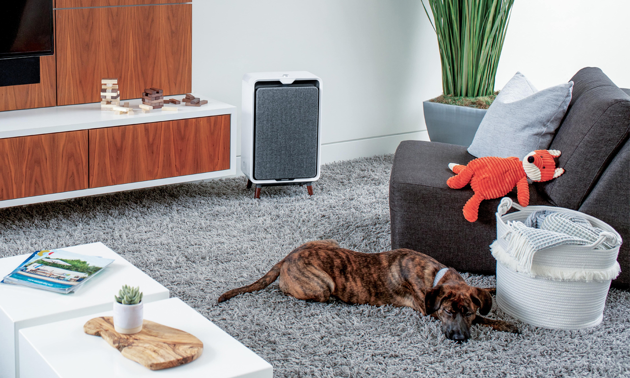 oczyszczacz bissell air320 technologie