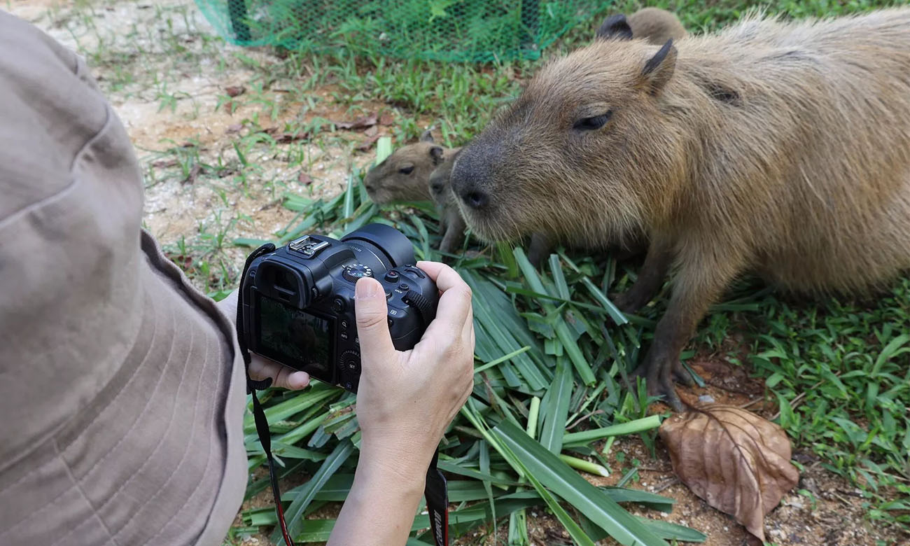 Obiektyw Canon RF 16mm F2.8 STM