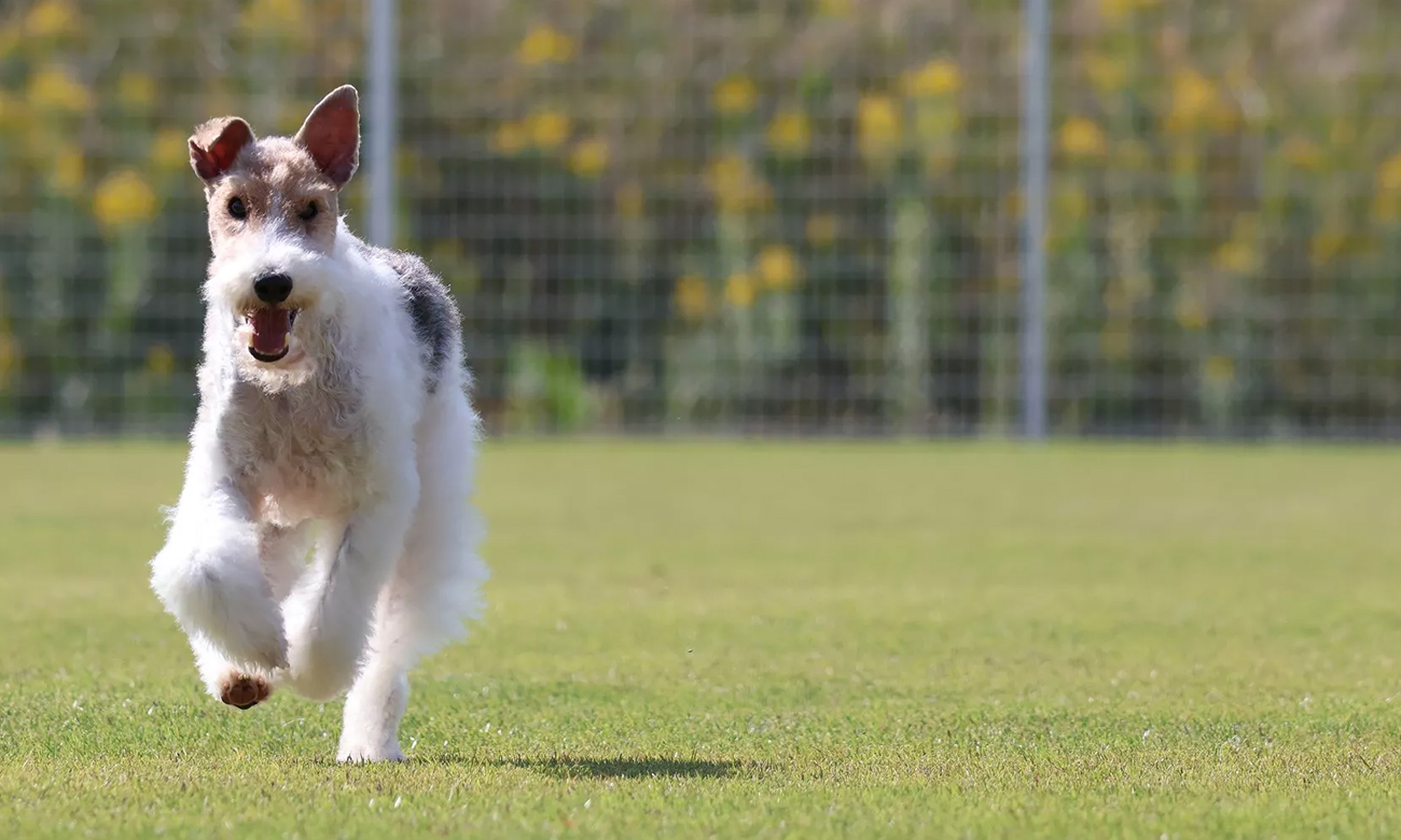 Korpus aparatu bezlusterkowego Canon EOS R50, czarny