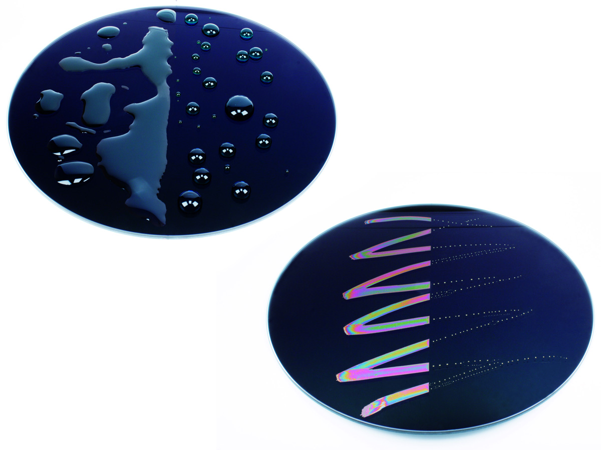 Schutzfilter Marumi FS Plus