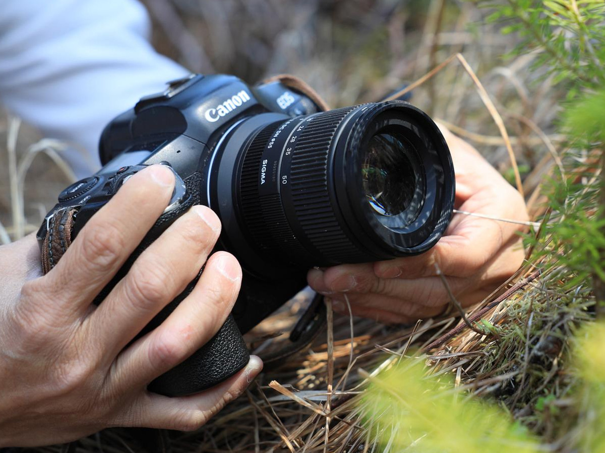 Festbrennweite Sigma	C 18-50mm f/2.8 DC DN Canon RF