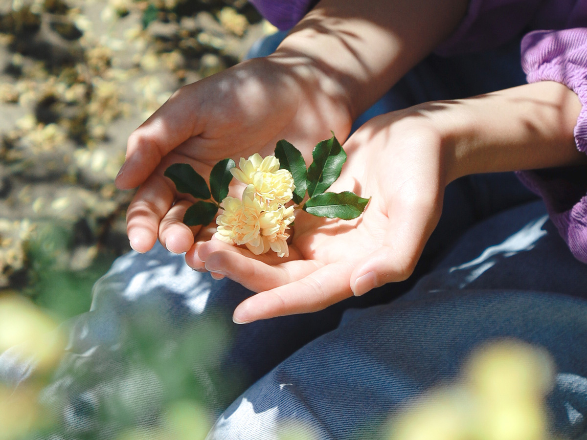 Festbrennweite Sigma	C 18-50mm f/2.8 DC DN Canon RF