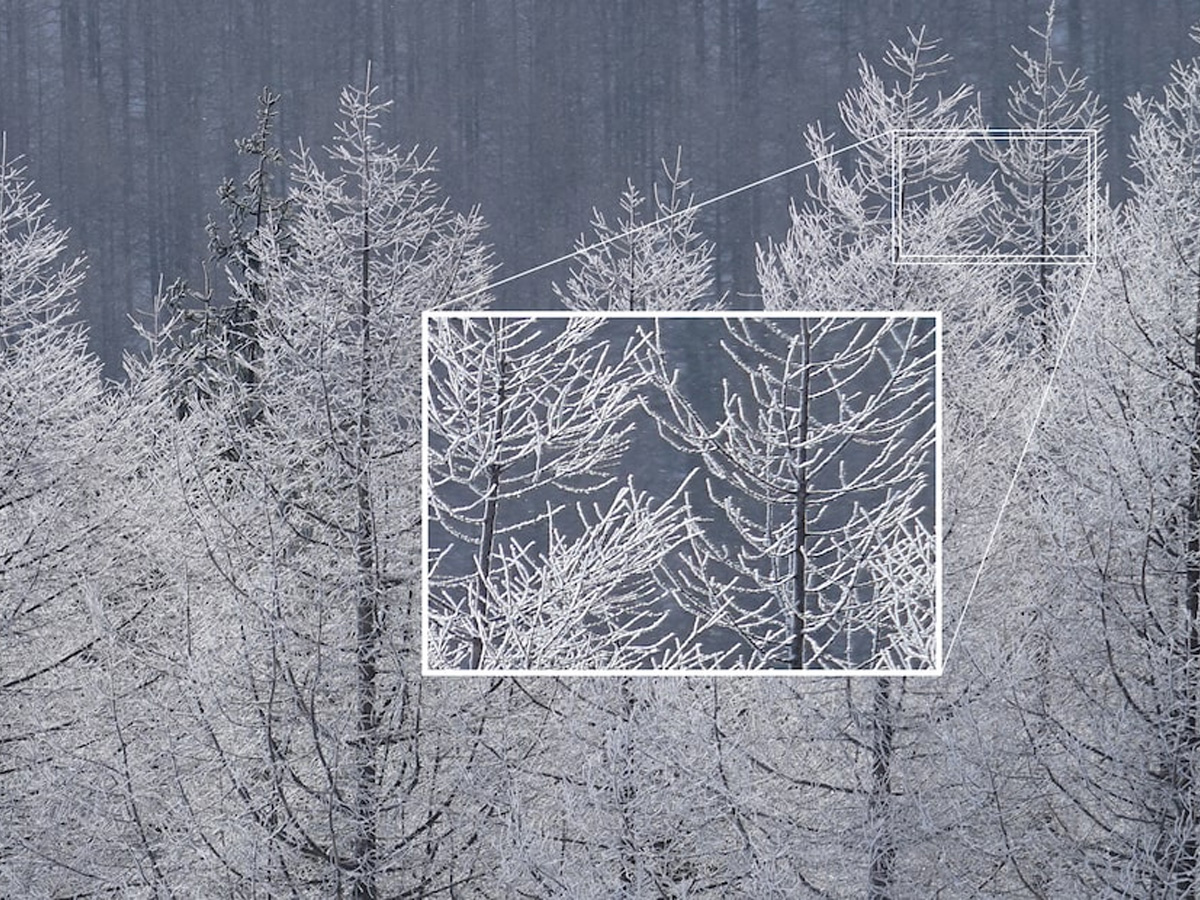 Sony FE 70–200 mm F4 G OSS Objektiv | SEL70200G