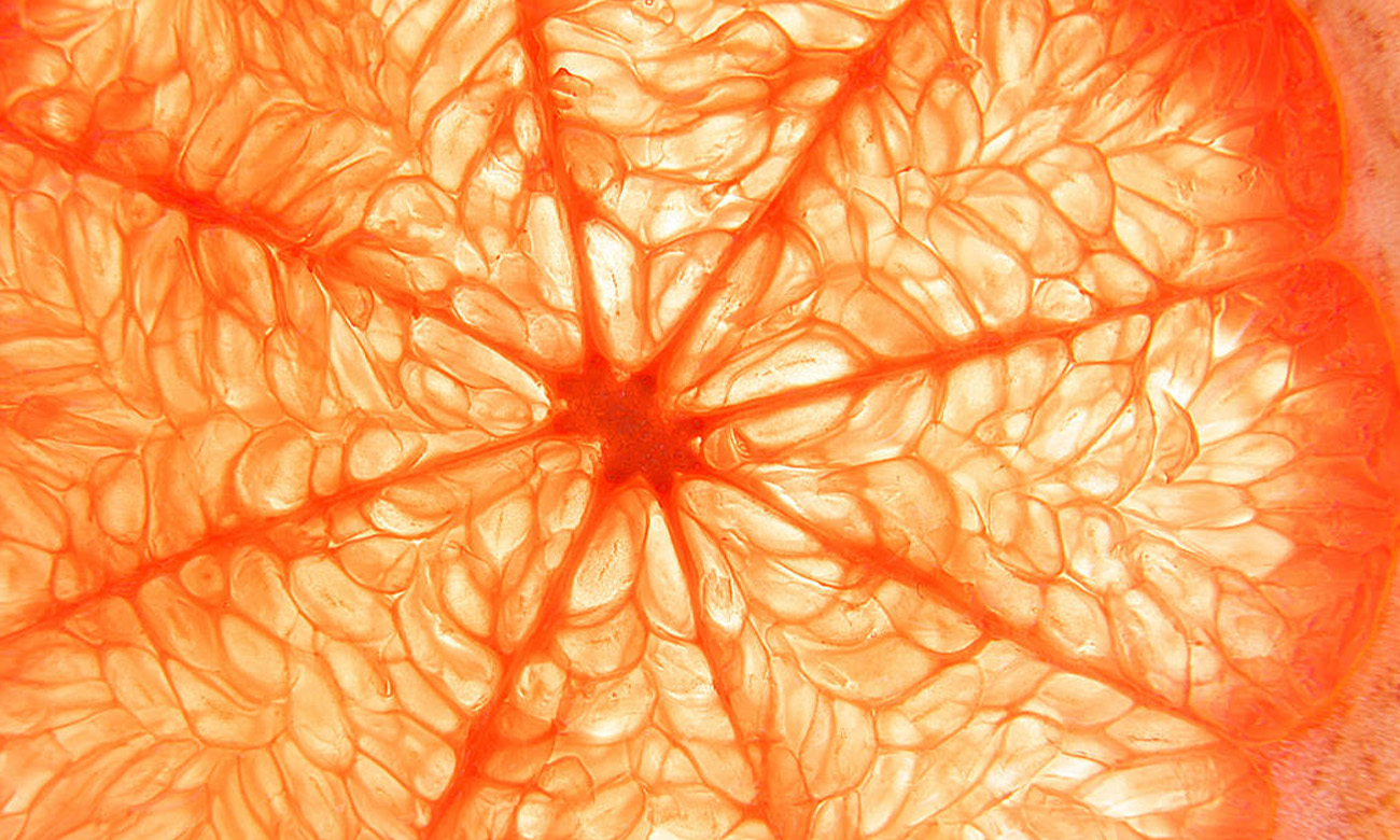 Obiektyw zmiennoogniskowy Tamron	18-300mm F/3.5-6.3 DiIII-A VC VXD Sony E