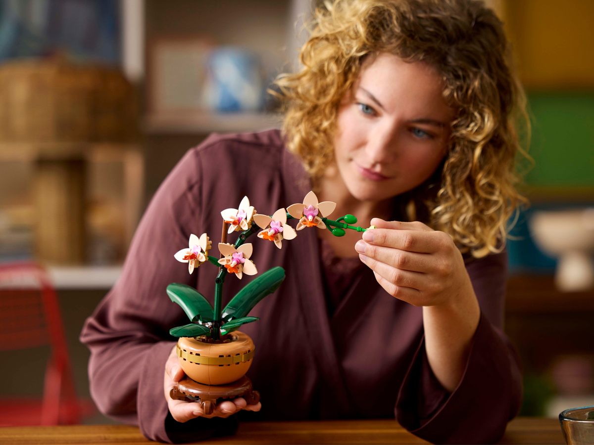 LEGO Botanicals Kleine Orchidee 10343