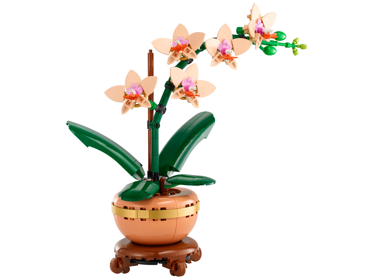 LEGO Botanicals Kleine Orchidee 10343