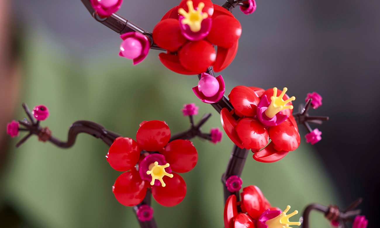LEGO Icons 10369 Pflaumenblüte