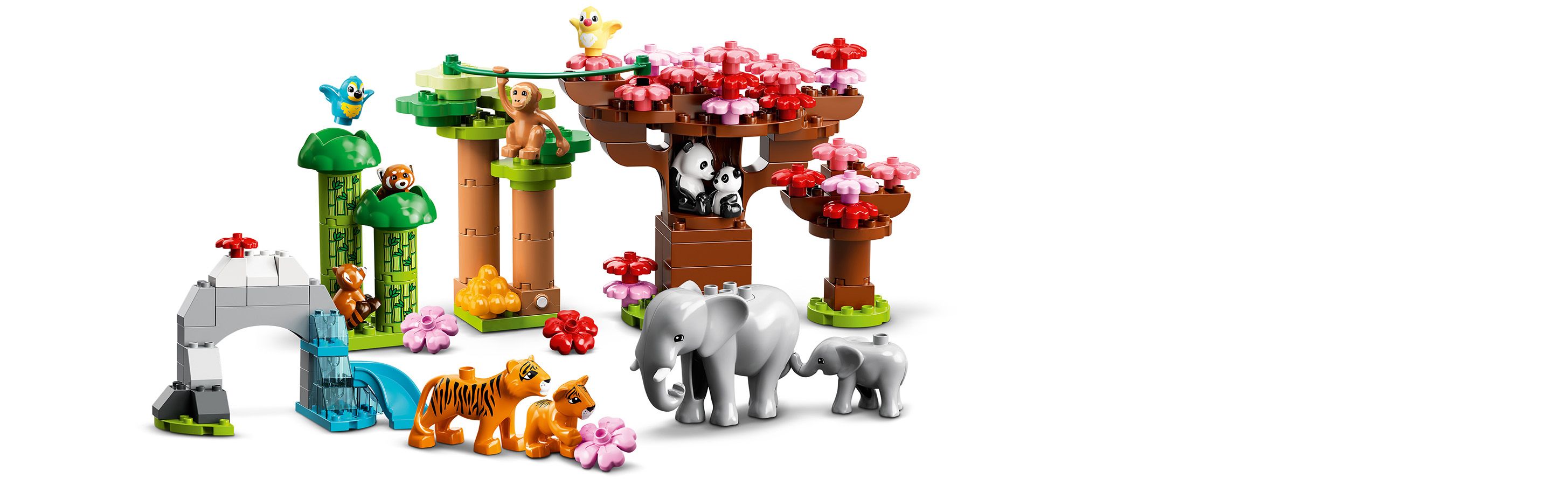 Różne zwierzęta w naturalnym środowisku