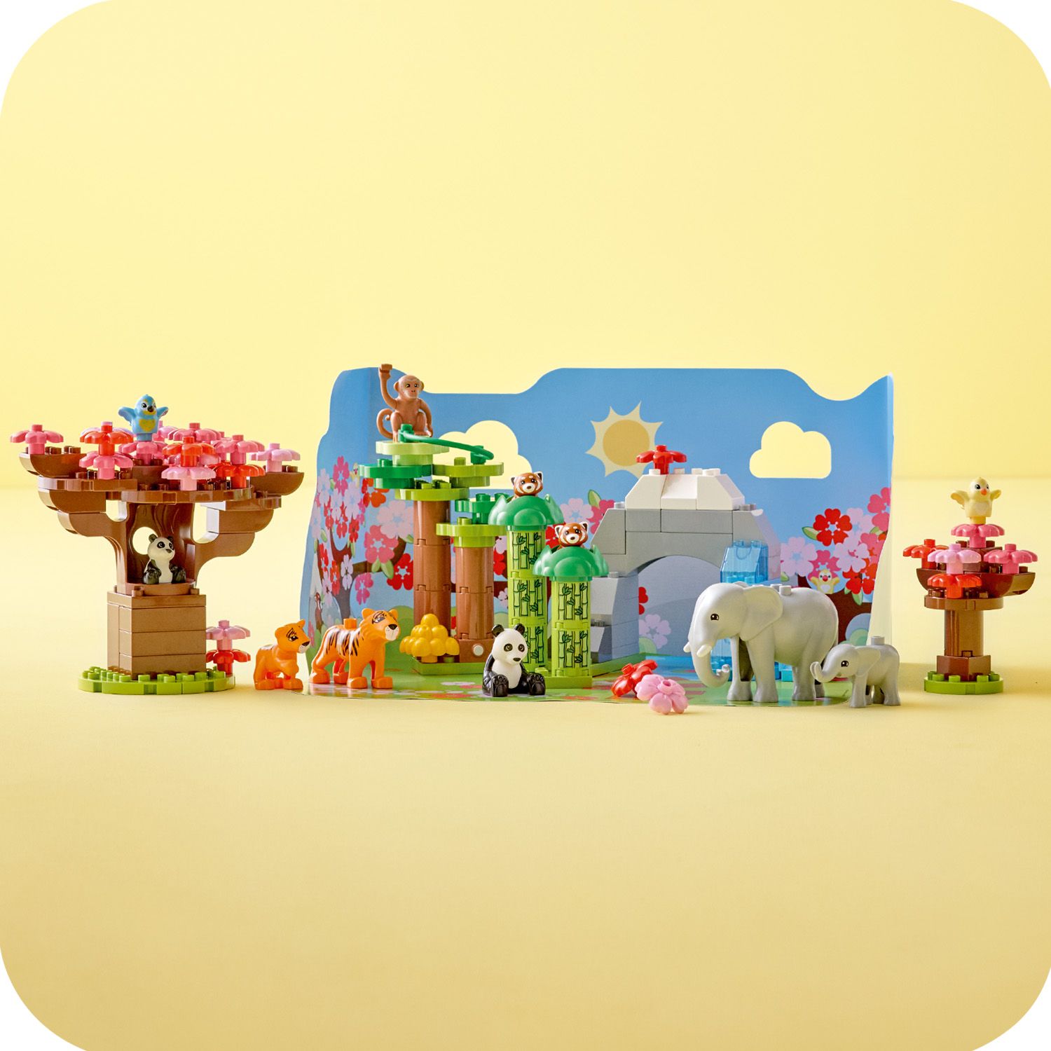 Zestaw do zabawy i ustawienia na półce