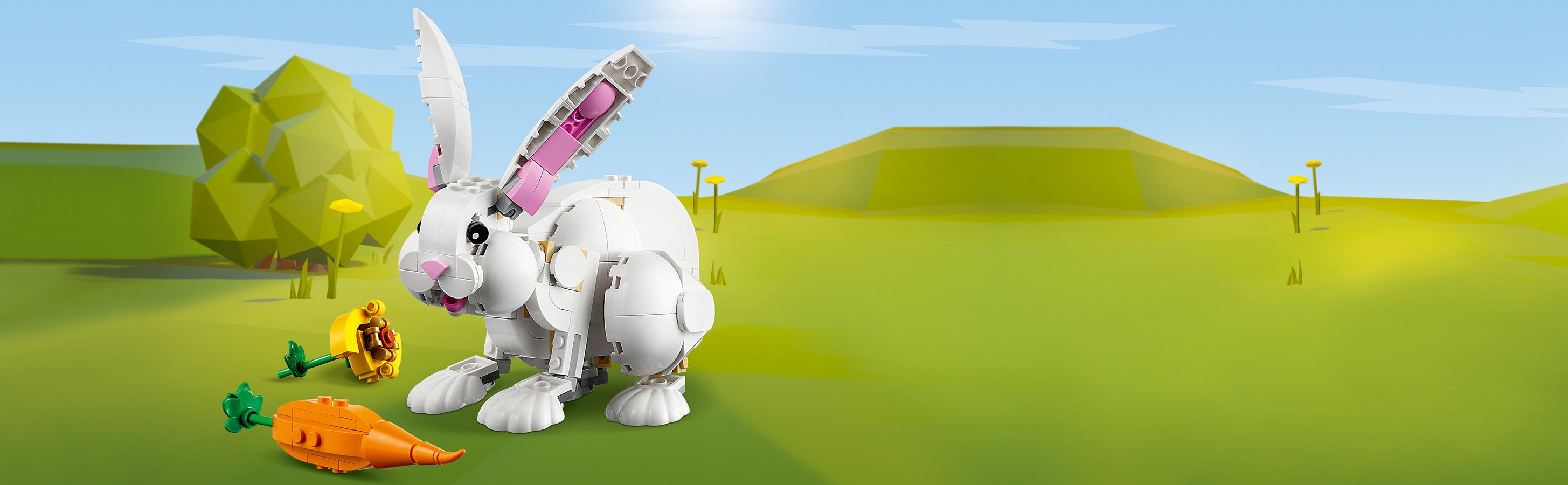 Unzählige Spielmöglichkeiten