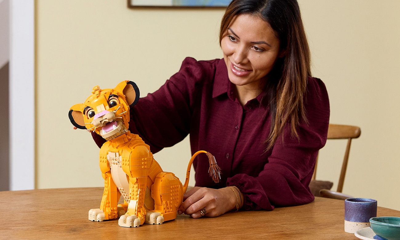 LEGO Set für Erwachsene